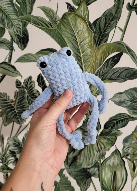 Żaba Rechotka Błękitna