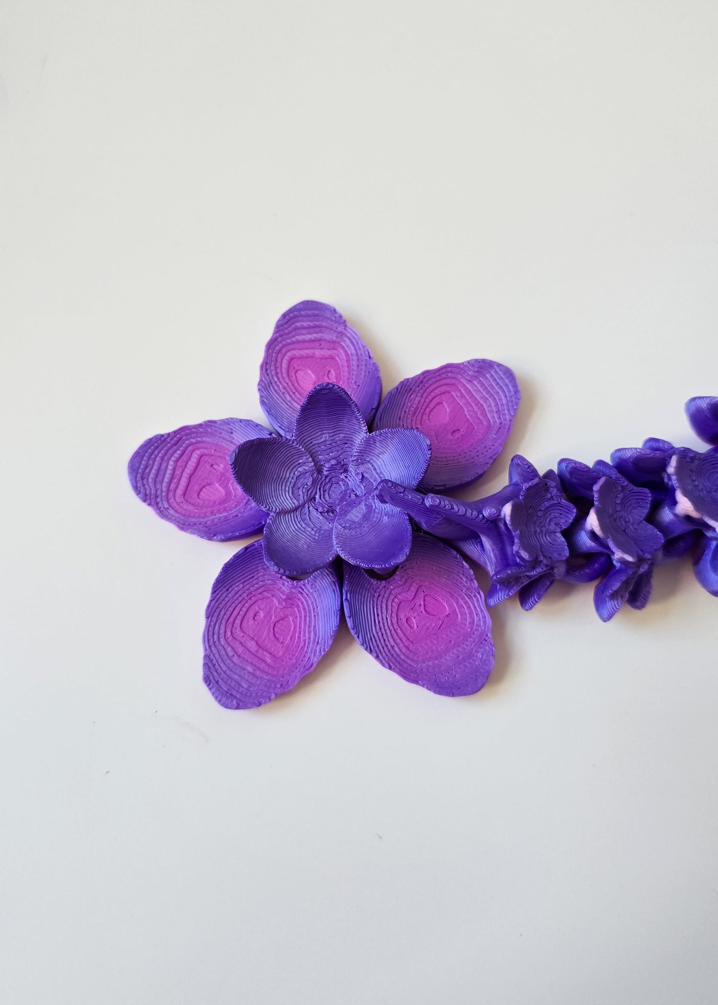 Smok Wiśniowy Fioletowy