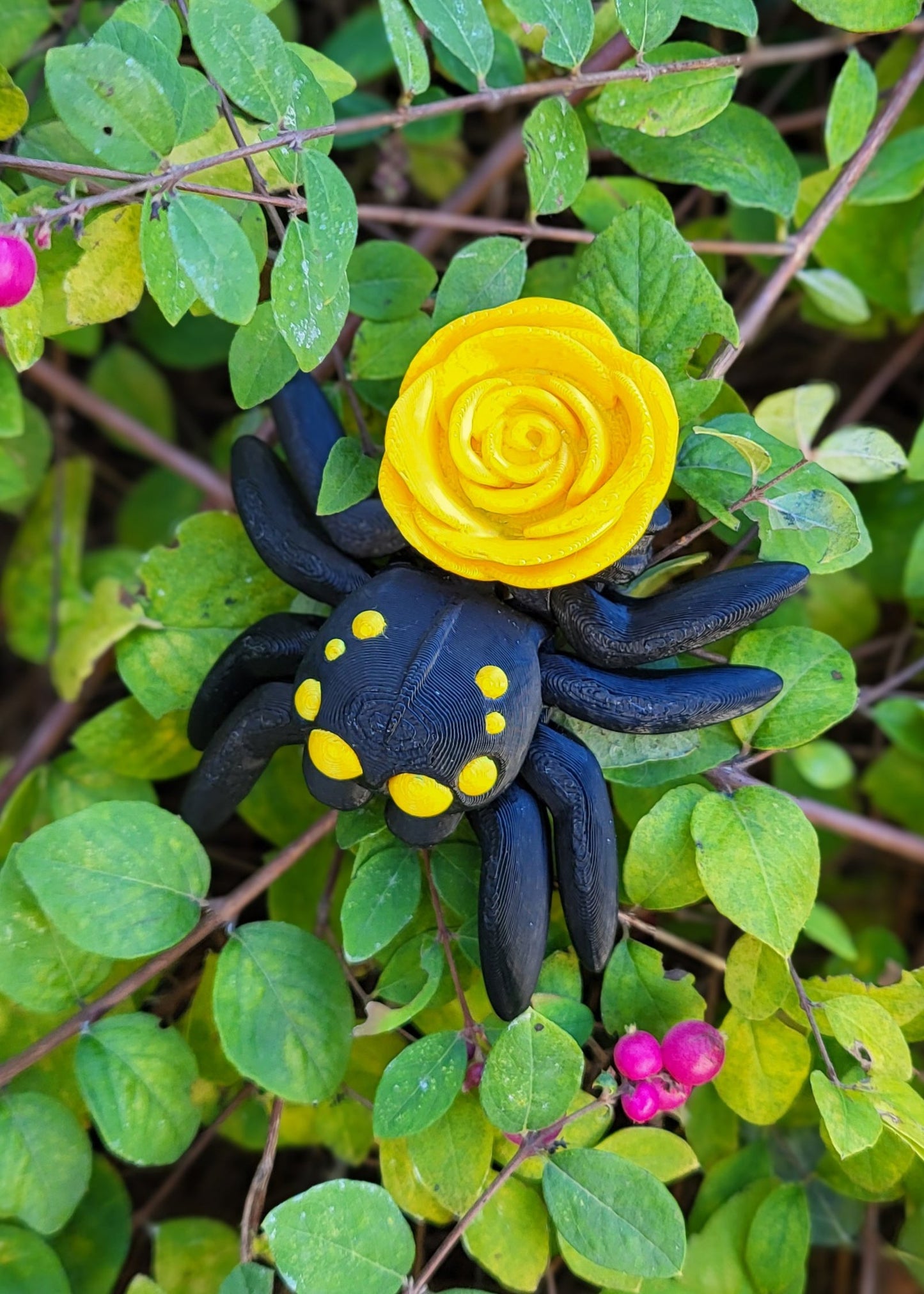 Pająk Róża Medium