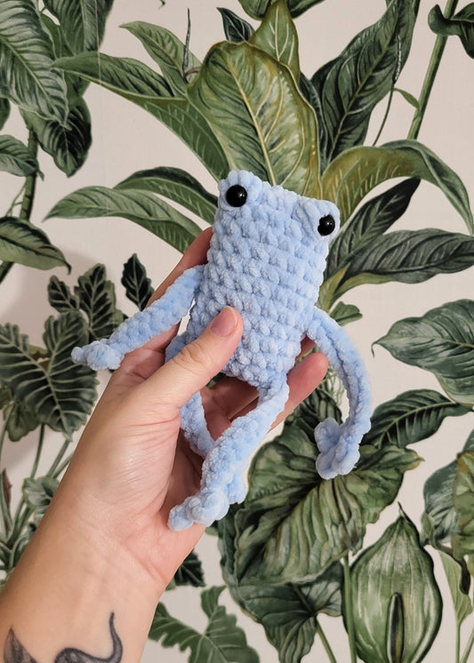 Żaba Rechotka Błękitna