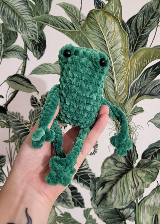 Żaba Rechotka Zielona