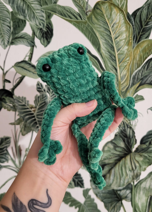 Żaba Rechotka Zielona