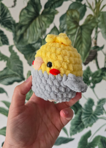Papuga