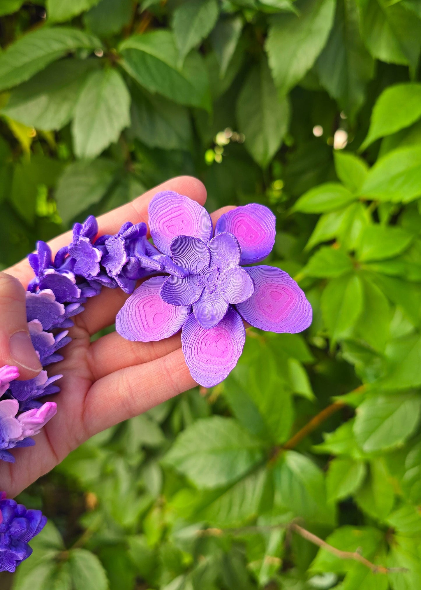 Smok Wiśniowy Fioletowy