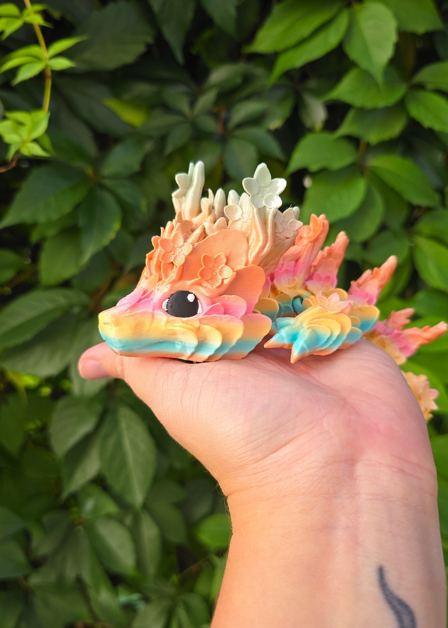 Smok Wiśniowy Tęczowy