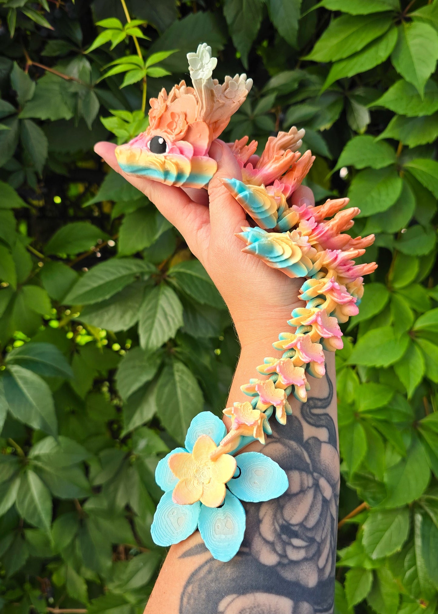 Smok Wiśniowy Tęczowy