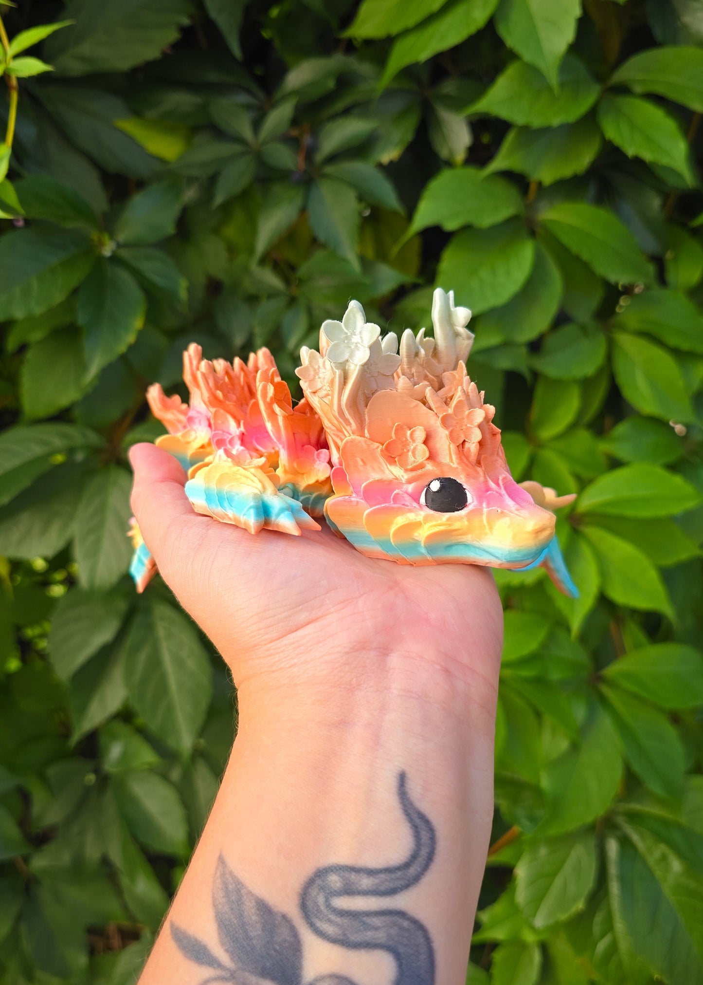 Smok Wiśniowy Tęczowy