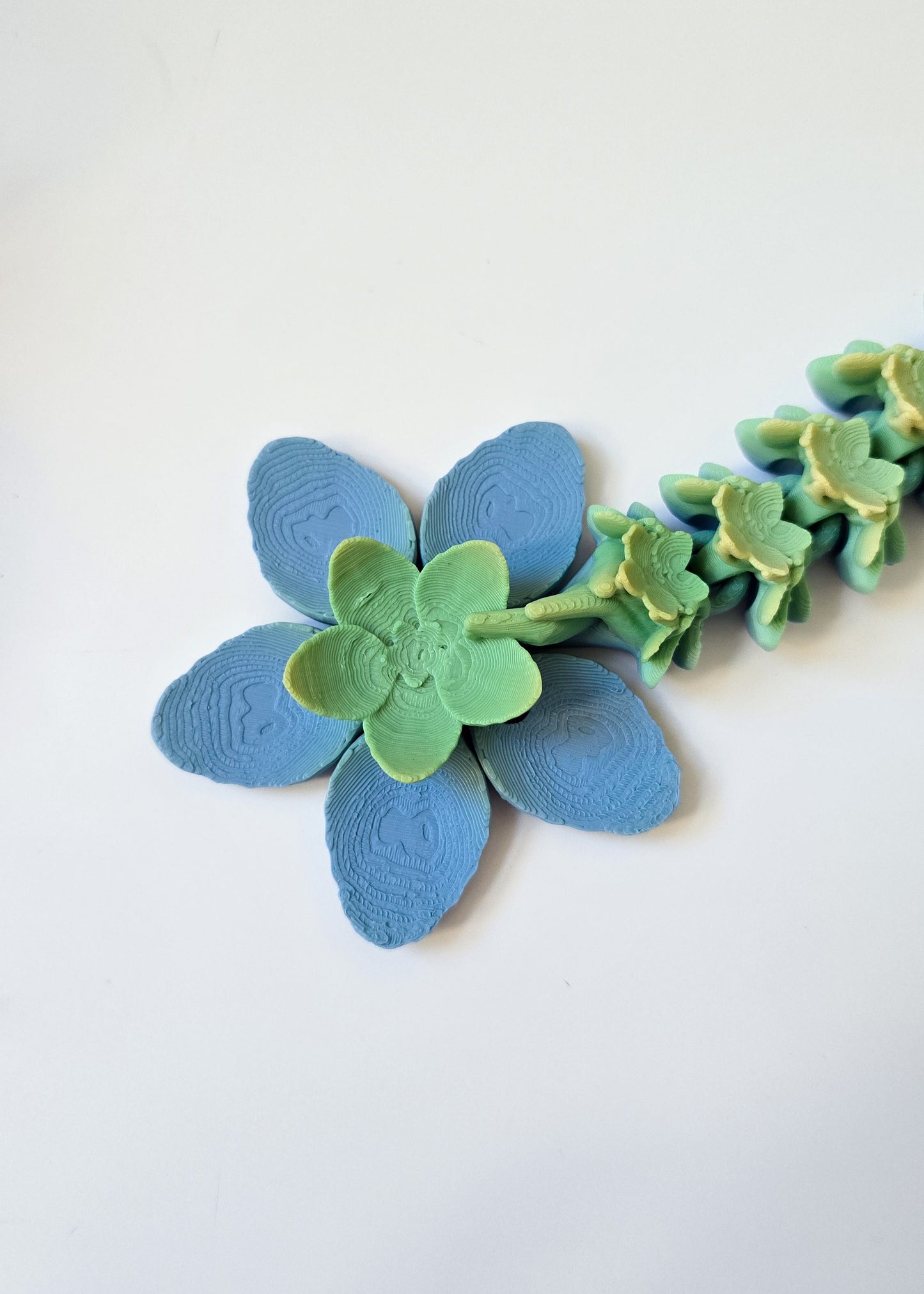 Smok Wiśniowy Jasny